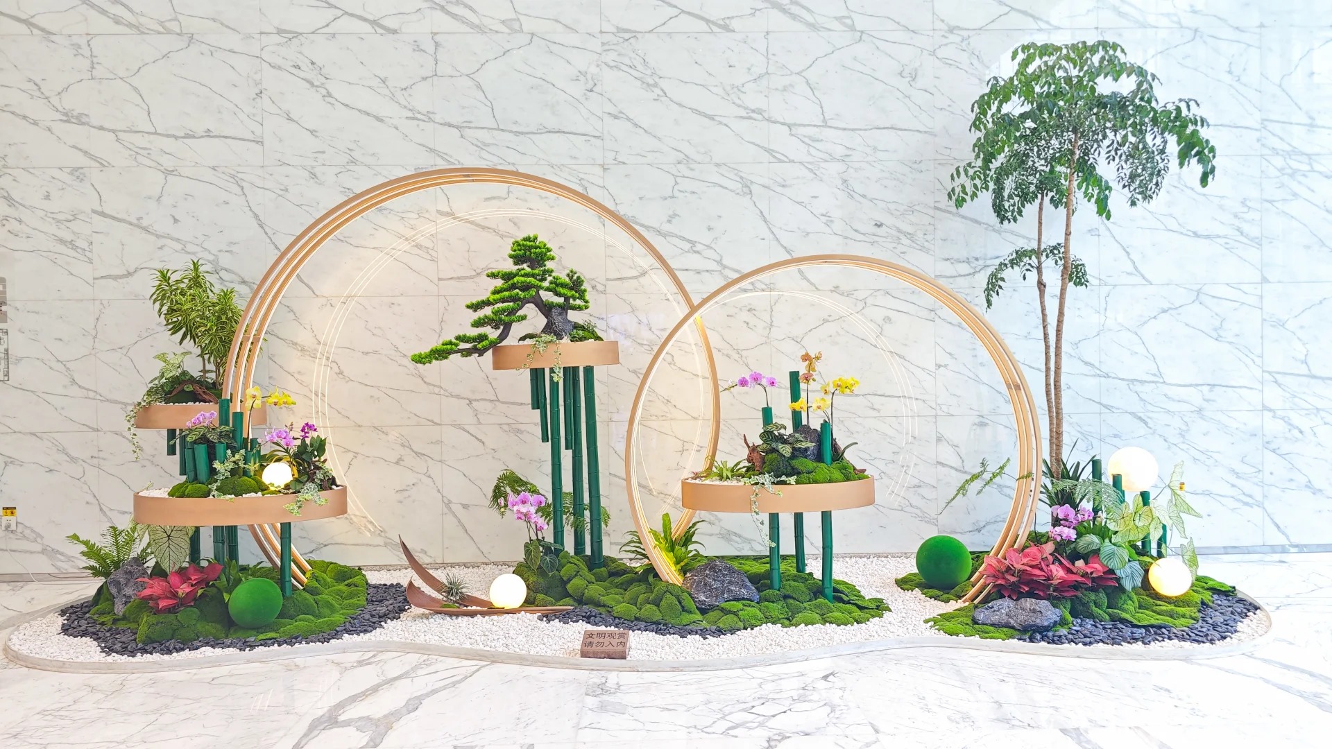 专业盆景出租，领略宁波慈溪别样风情！