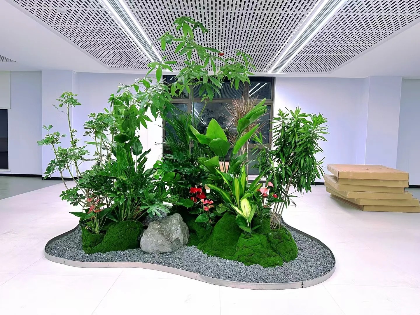 专业盆景出租，领略宁波慈溪别样风情！